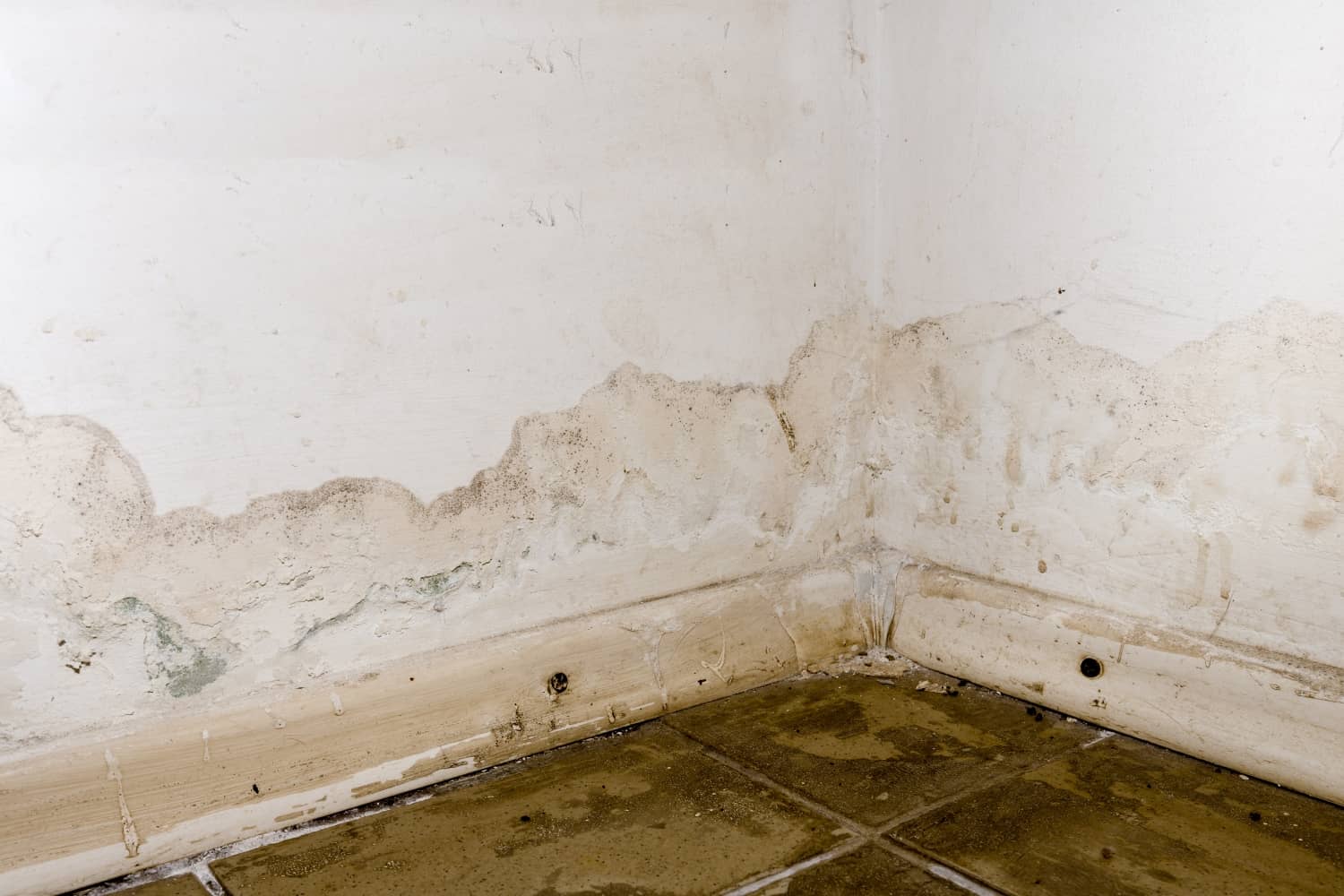 Water Damage Restoration Services