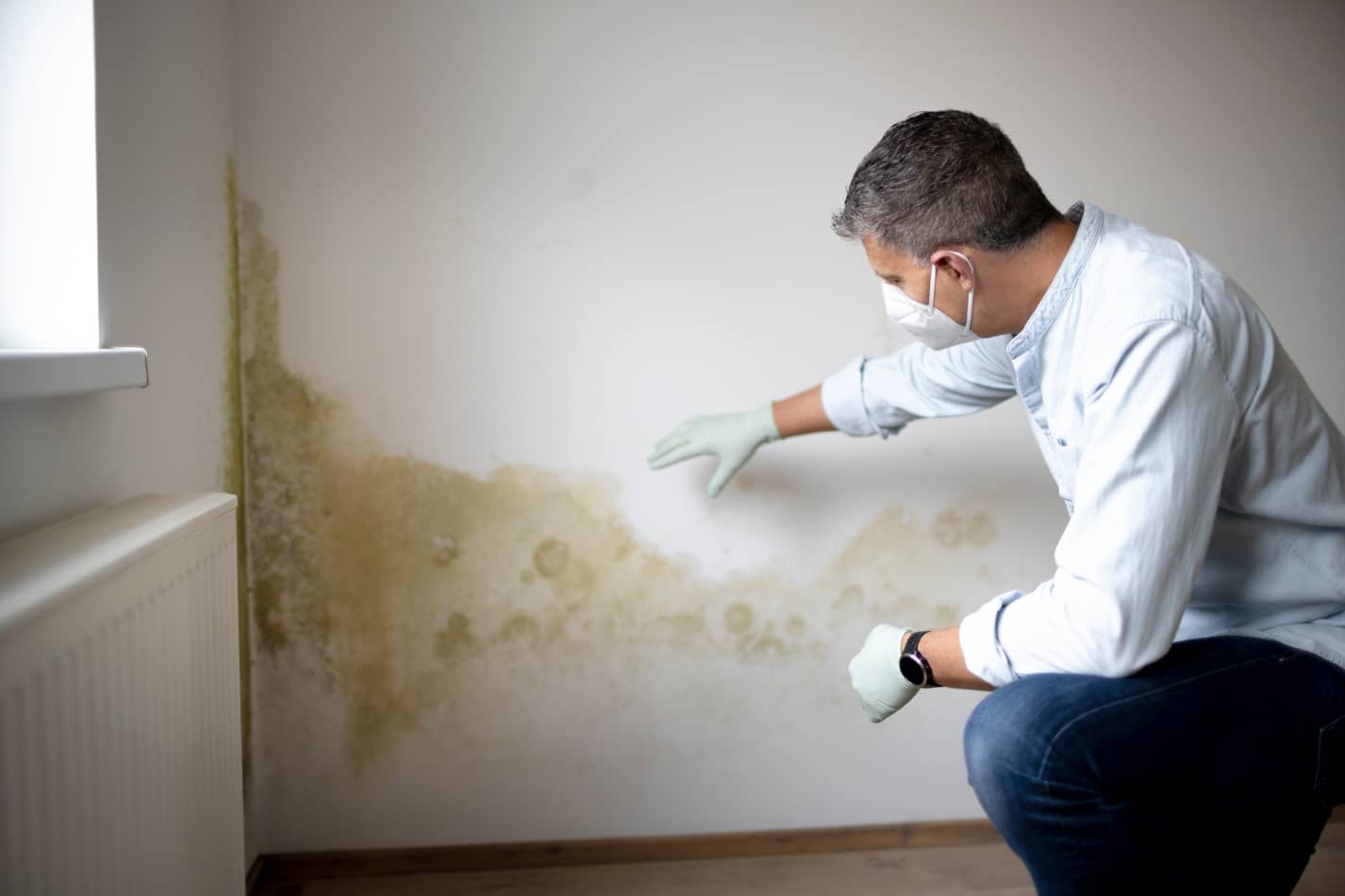 mold remediation